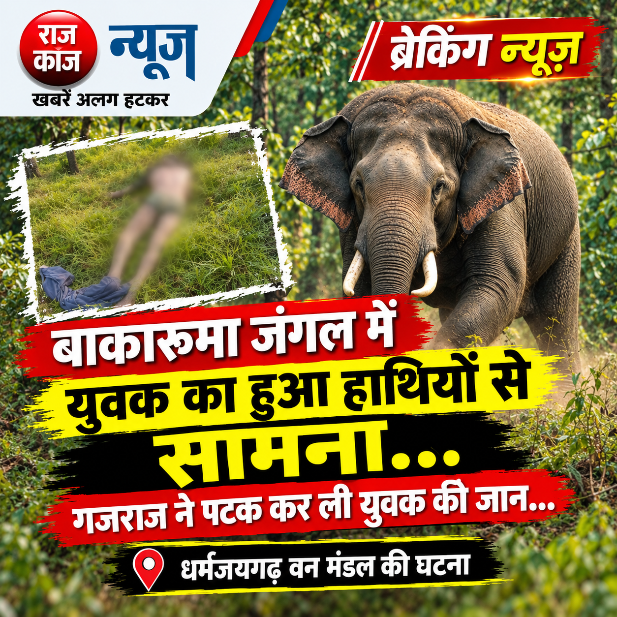 बाकारुमा वन परिक्षेत्र में हाथियों के दल से युवक का आमना-सामना…गजराज ने उतारा मौत के घाट…मौके पर ही हुई मौत…